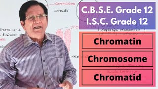 Chromatin Chromosome and Chromatid Grade 12 Biology