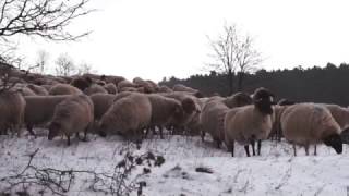 Schneeschauerberg - Eine Pilgerfahrt Zum Drachenlord