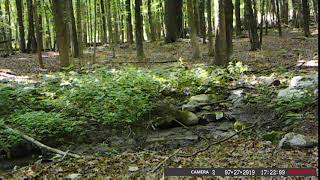 00000043
