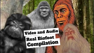 The Best New Bigfoot s and II