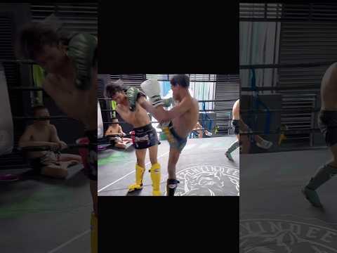 Catch The Teep to Head Kick Muay Thai Technique!
