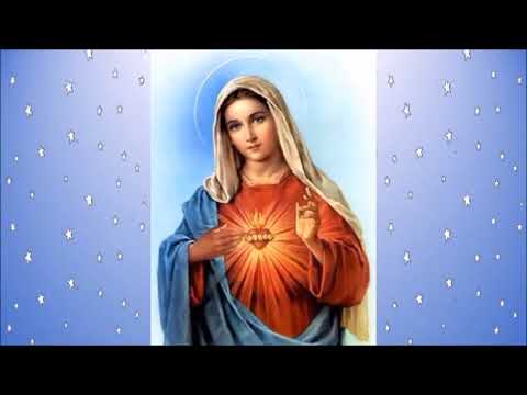 HAIL MARY FULL OF GRACE - Loop