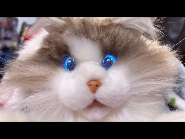 シュコービゴベロ♡ネズミの女の子♡MAICAT シュコービゴベロ♡ネズミ