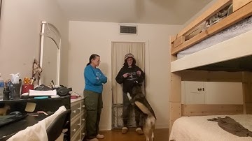 KPA DTP Exercise 6.2 Testing for Stimulus Control