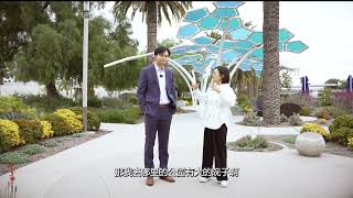 New Listing 独家代理 261 Magnet Irvine CA92618 大公园三房联排别墅前后都正对公园草坪 五分钟到大公园水上乐园，冰球馆，社区会所乐园泳池区域 而且还能步行上学