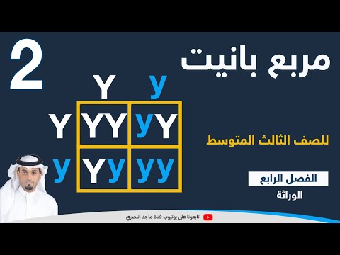 تدريبات على مربع بانيت