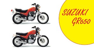 SUZUKI GR650 Tempter, winter project (1st part)