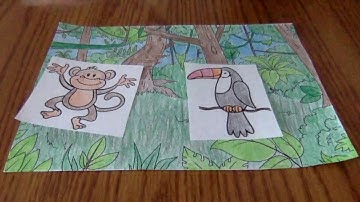 Interpreting Line Plots with Fractions