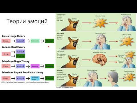 1. Теории эмоций [Физиологические механизмы агрессии и страха]