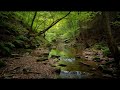 INSTANT FOCUS: Finally Beat Stress & Unlock Deep Work 🎧 (The ULTIMATE Anxiety Relief Study Music)