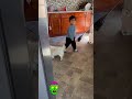 #dogshorts #dogsviral #cachorrosdivertidos #pets #shortsviral #todayshorts #funnyshorts #perros