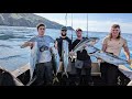 South Island Kingfish And Snapper Mission