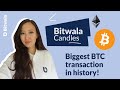 History of Bitcoin (BTC) - YouTube