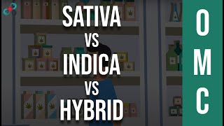 Sativa Vs Indica Vs Hybrid: You've Been Picking Strains All Wrong 🤷‍♂️