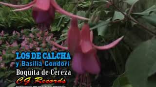 Boquita de cereza