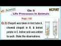 Ch:09 - Q.2) Iodine solution was added was added to Chapati, chewed chapati &amp; boiled potato.