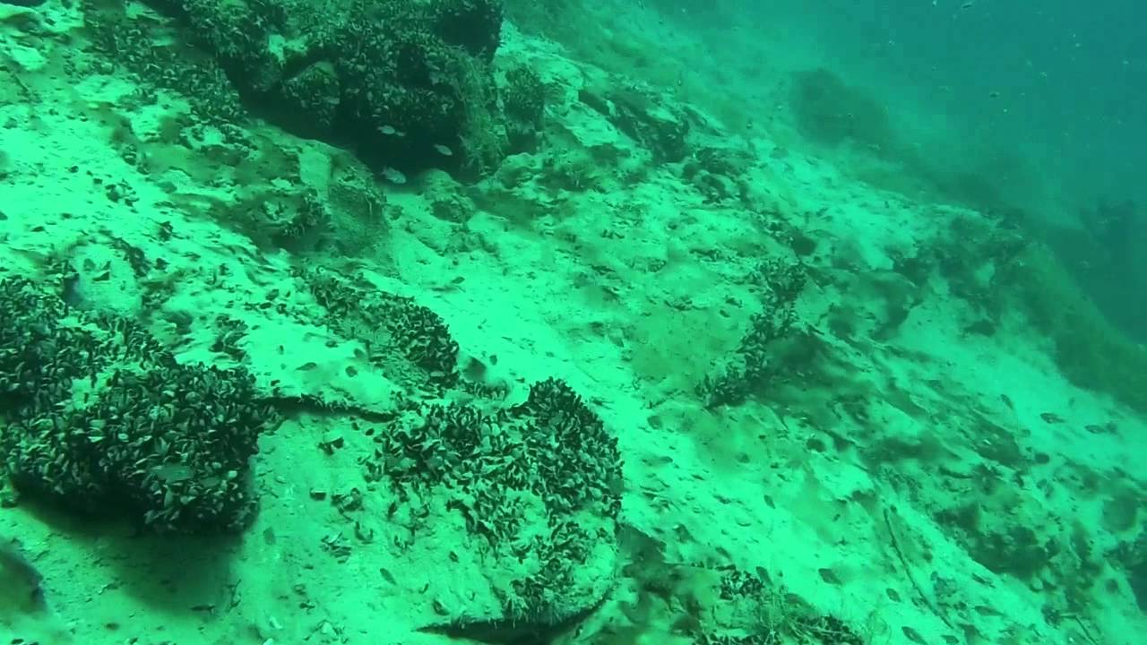 Dutch Springs Scuba Map sexiezpix  Porn