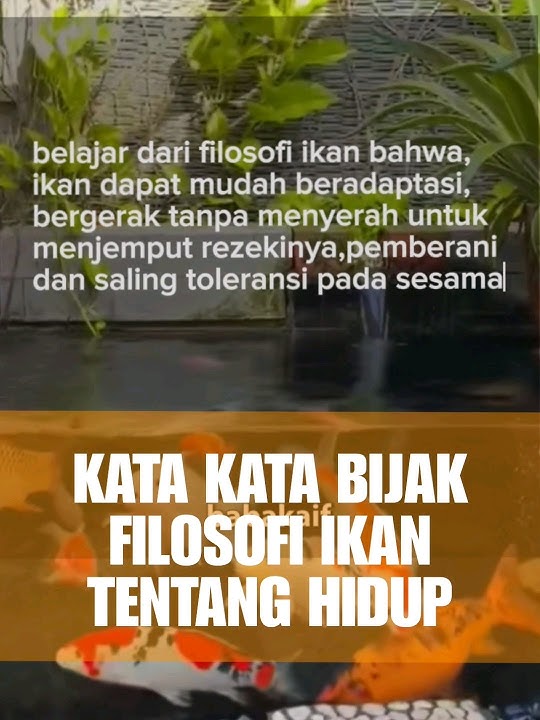 kata kata bijak filosofi ikan tentang hidup