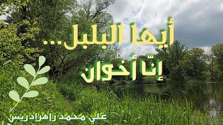 أيها البلبل || أداء علي محمد زاهر إدريس