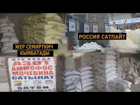 Video: Кайсы азот эң негизги?