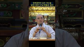 귀신 장화홍련 악귀 퇴마 부적 이야기 전설 설화 웃음 재미 자현스님 시즌2 2-31 #shorts