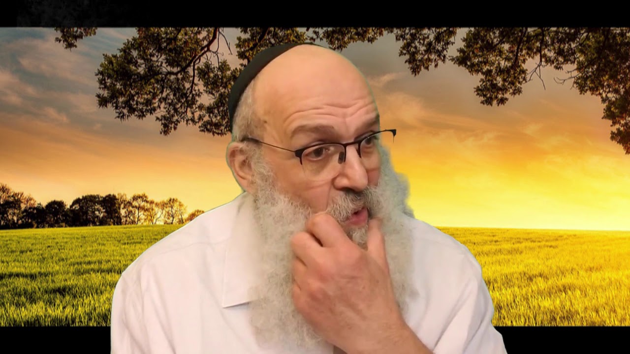 CAR JE SAIS QUE TU ES AVEC MOI (Toi Hashem) 7 - RAV SHIMON ARICHE