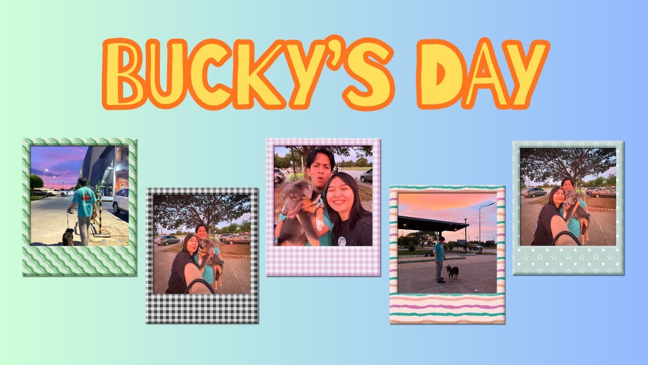 BUCKY’S DAY (vlog 001)