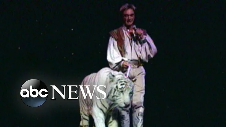 New allegations about onstage attack in Siegfried ...