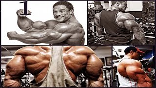 Qol Arxasi Mesq Proqrami Trceps  Big Triceps Lion Fitness Aslan Ismayilov 2018