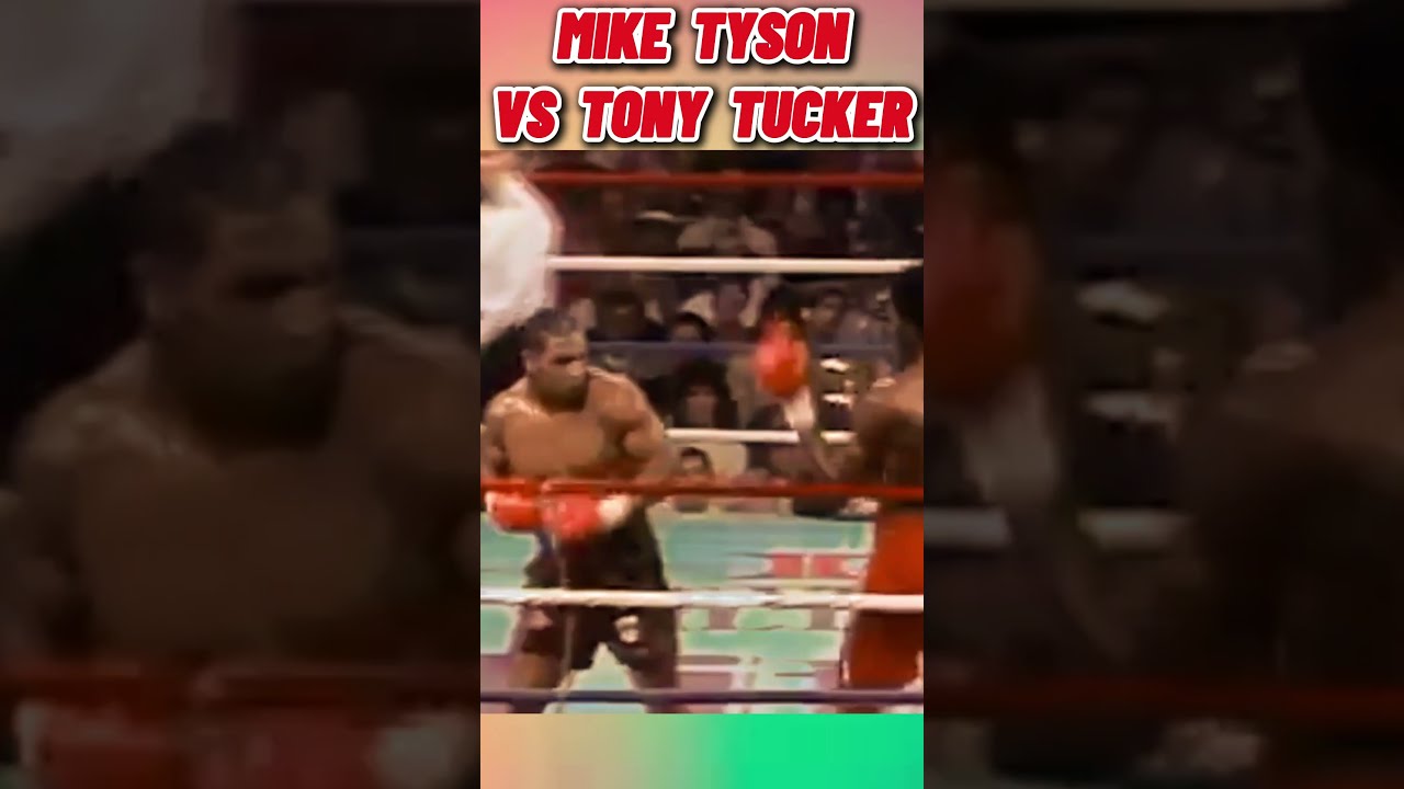 Mike Tyson Vs Tony Tucker Full Fight Highlights Undisputed Heavyweight Title Clash