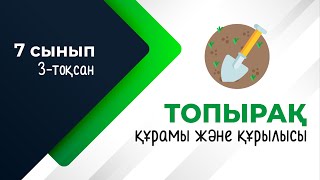 картинка: Топырақтың құрамы және құрылымы. БИОСФЕРА | 7-сынып | 3-тоқсан | ГЕОГРАФИЯ