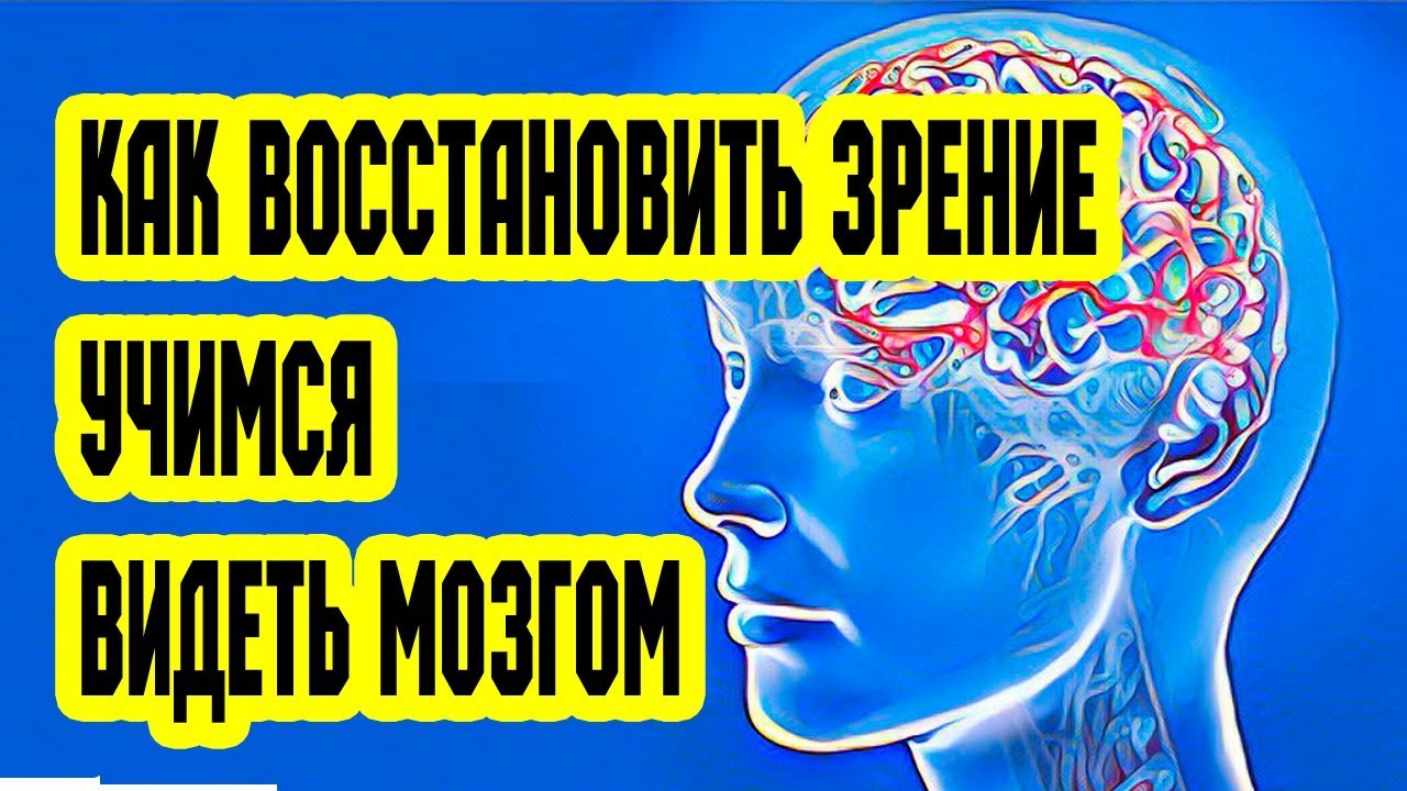 Глаз смотрит мозг видит. Зарядка для восстановления зрения. Как научиться видеть мозгом. Гимнастика для глаз для восстановления зрения близорукость. Видим мозгом.