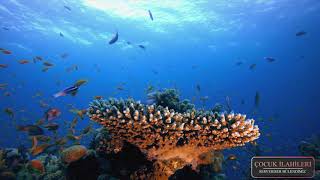 Serveri̇ser Bülendi̇mi̇z - Çocuk İlahi̇leri̇