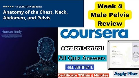 Coursera Anatomy of chest, neck, abdomen and pelvis week 4 Male Pelvis review Quiz #freecourse