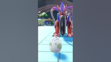 Pokémon EGG 320 Eiscue Shiny   #short #pokemon #shinyhunting #shinypokemon