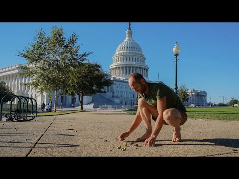 Video: Food Truck in abbondanza a Washington, DC