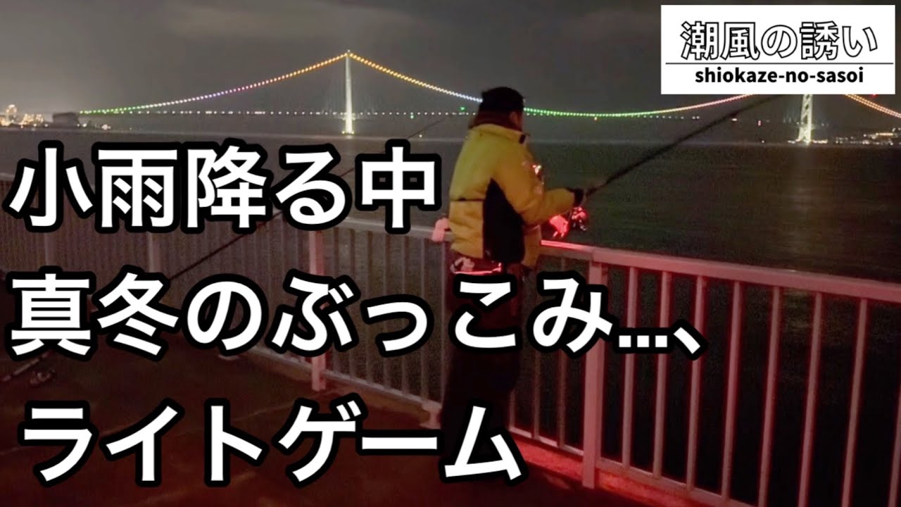【堤防】ライトゲームとぶっ込み釣り【病み上がりはいつも雨】