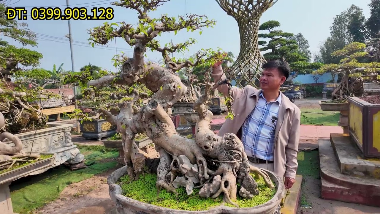 Xuất Hiện Tác Phẩm Sanh Nam Điền Rất Đẹp Ở Vườn Của Trần Hiệp