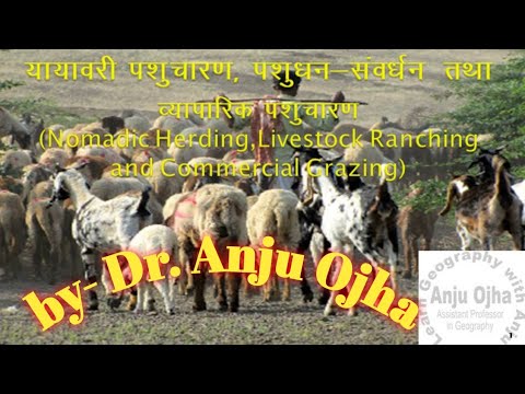 #Nomadic Herding, Livestock Ranching  and Commercial Grazing