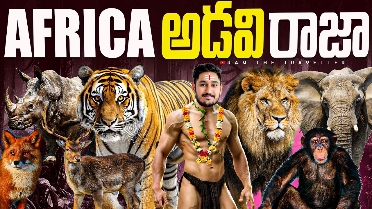 ఆఫ్రికా లో జంతువుల సంగ్రామం 🦒 Mikumi National Park 🦁 Safari Tanzania 🇹🇿 Africa [Ram The Traveller]