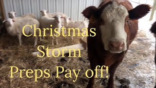 25 below zero windchill - Farm Preps pay off! 🥶#winterstorm by Kentucky Renaissance Man 71 views 1 year ago 5 minutes, 57 seconds