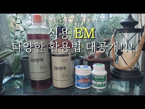 식용 EM 먹는 방법 및 활용방법