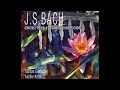 J. S. Bach - Sonatas for Viola da Gamba and Harpsichord - T. Goetschel &amp; Y. Ritter