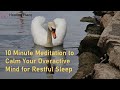 10 Minute Meditation to Calm your Overactive Mind for Restful Sleep