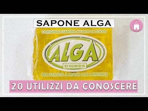 ALGA SOAP: 20 USES FOR CLEANING THE HOUSE AND NOT ONLY