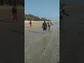 Golfinho ferido é resgatado na garupa de moto e devolvido ao mar