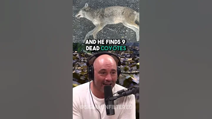 The Most SAVAGE Pitbull vs Coyote Story | JRE featuring Travis Barker