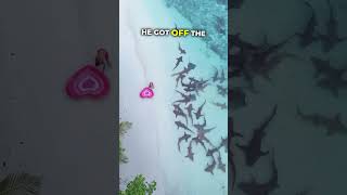 Download Lagu He had a shocking encounter with tralalero tralala 😱 MP3