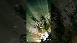 make fake sunlight ray lighting ray effect#viral #shorts #photography #youtubeshorts screenshot 5