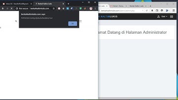 Stealing Cookie with Reflected XSS